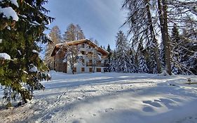Residenza Larici